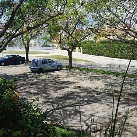 Marina Apartment